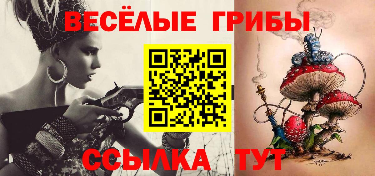 Галлюциногенные грибы GOLDEN TEACHER Ревда